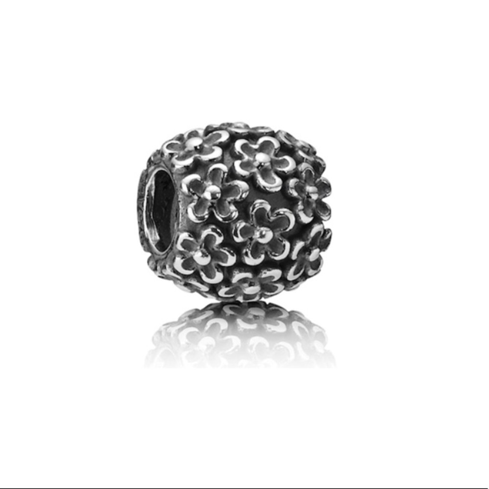 🖤Pandora Charm🖤